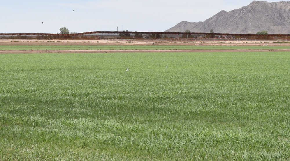 Yuma 1 Border Barrier Project