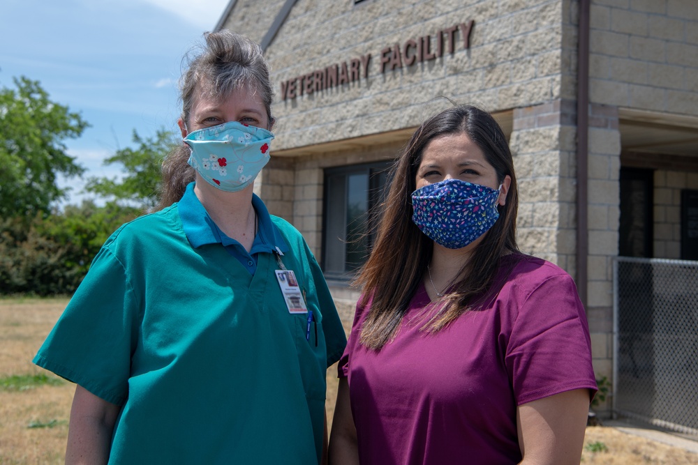 Beale Veterinary Treatment Facility employees help keep local family safe