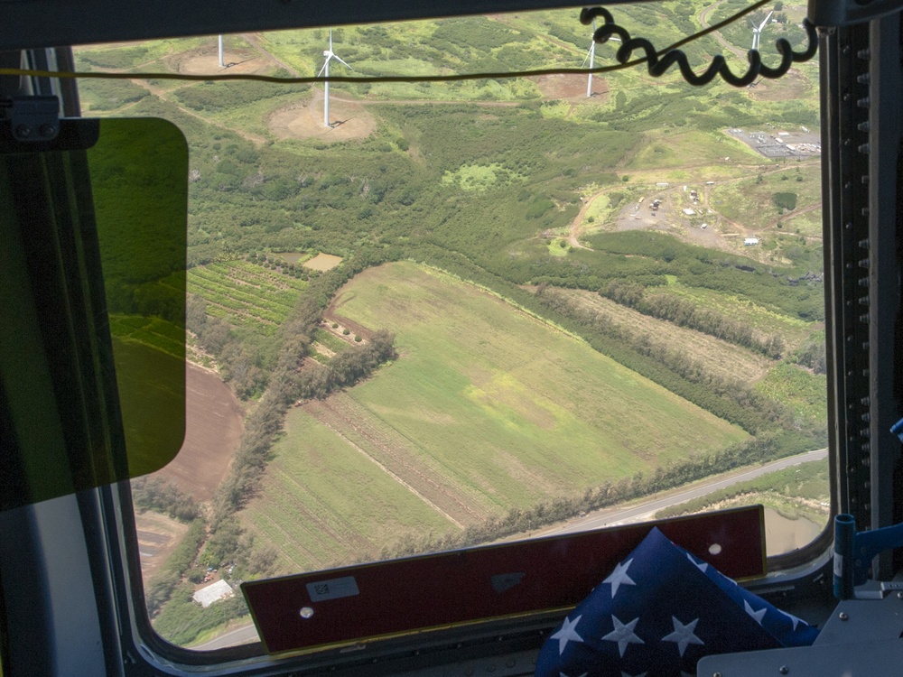 Team Hickam conducts Hawaii flyover honoring those who 'flatten the curve'