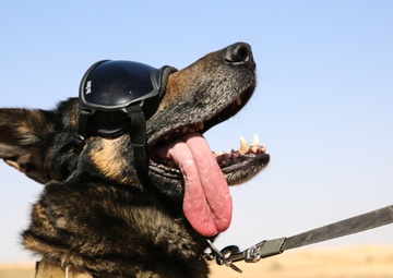 Aerial Reaction Force live-fire exercise