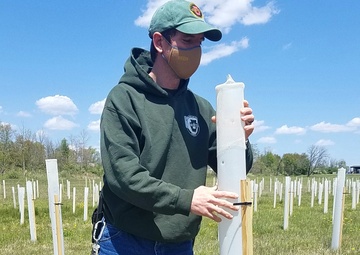 55,000 Trees planted at Fort Indiantown Gap