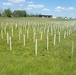 55,000 Trees planted at Fort Indiantown Gap