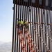 Corps continues to build San Diego 4 border barrier project