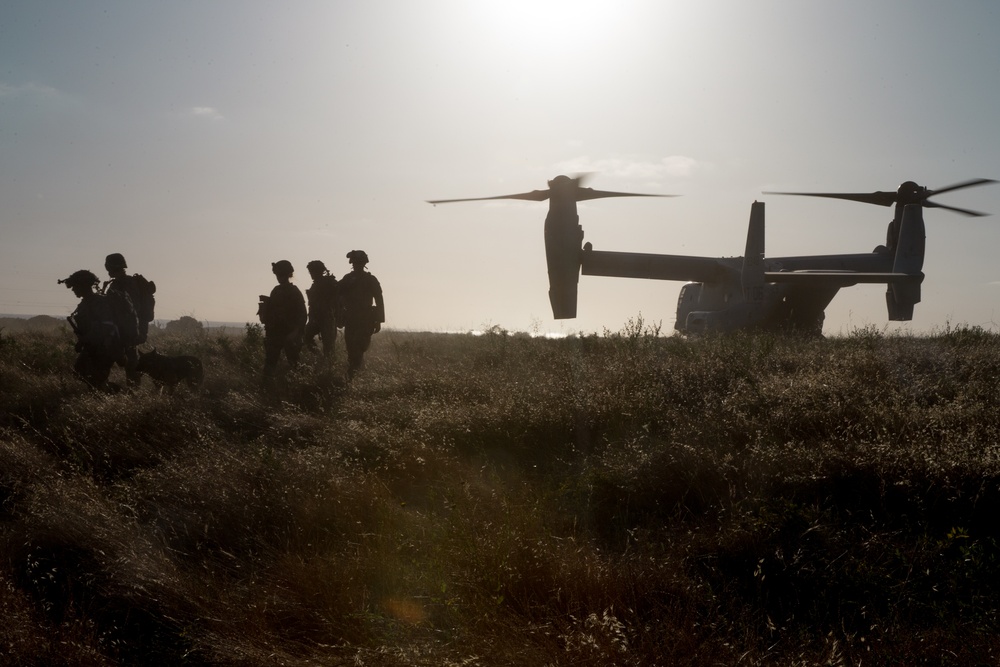 15th MEU Marines descend on the objective