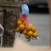 Delaware National Guard feeds families in First State