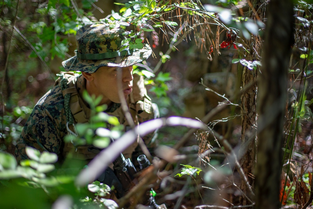 Task force Marines conduct close quarters battle training