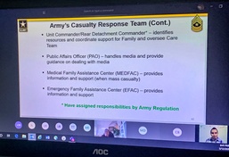 From Spouse to Mentor Through a Virtual Environment