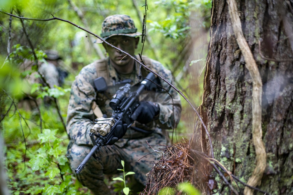 Task force Marines deploying to Latin America increase unit readiness with patrolling procedures