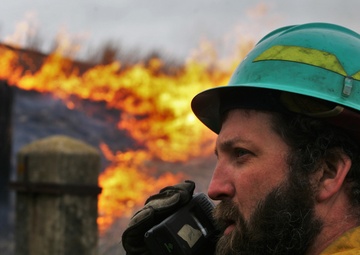 Installation’s newest forester isn’t new to Fort McCoy, plans continued success