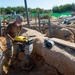 NMCB 1 Seabees install sewage lines for kennel office building project.