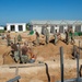 NMCB 1 Seabees install sewage lines for kennel office building project.