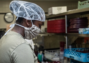 Veterans helping Veterans at Vineland