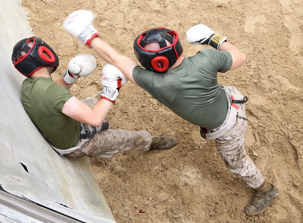 Alpha Company completes the Crucible