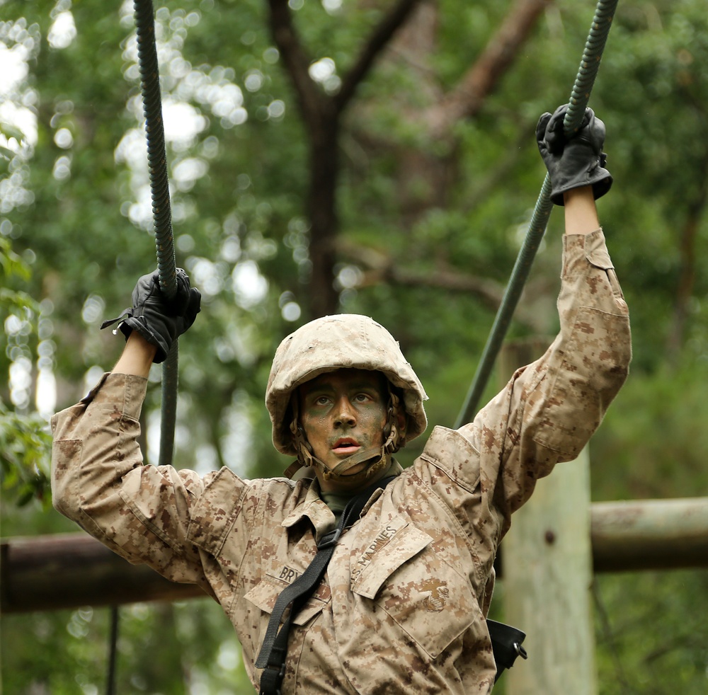 Alpha Company completes the Crucible