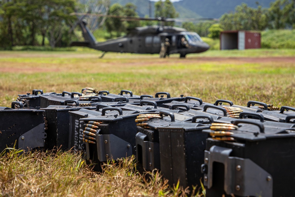 25th CAB Aerial Gunnery