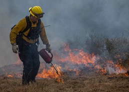 Pendleton fire department uses prescribed burns to help environment, prevent wildfires
