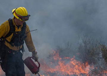 Pendleton fire department uses prescribed burns to help environment, prevent wildfires