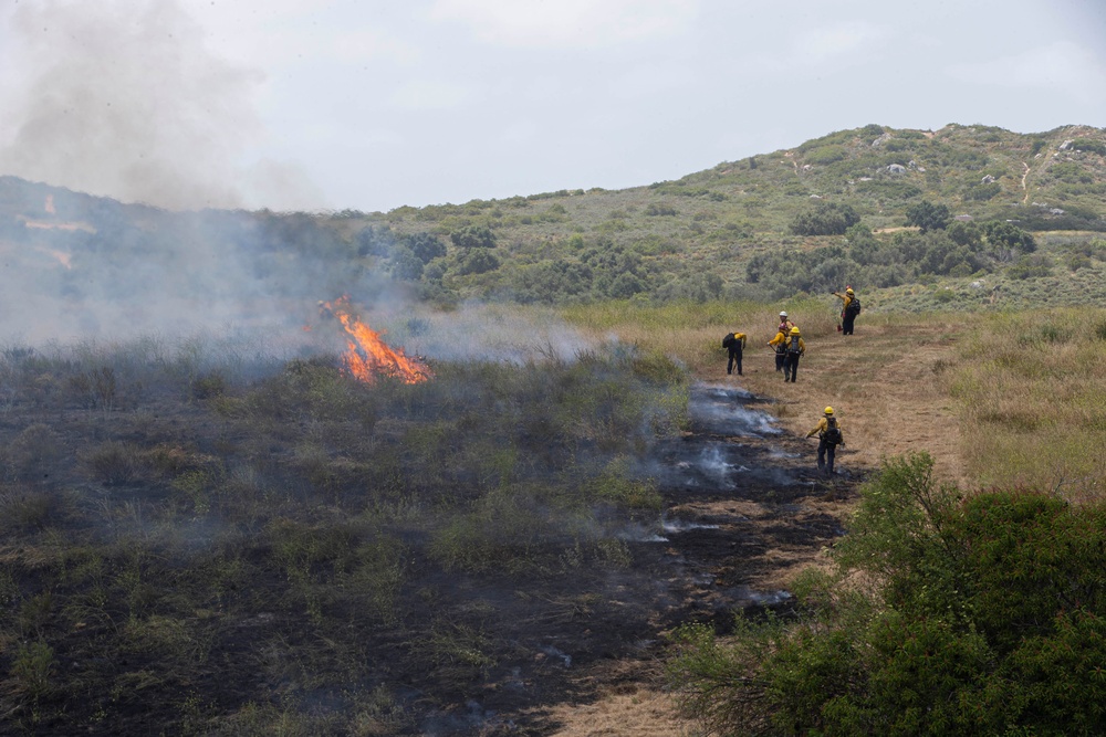 Pendleton fire department uses prescribed burns to help environment, prevent wildfires