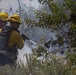 Pendleton fire department uses prescribed burns to help environment, prevent wildfires