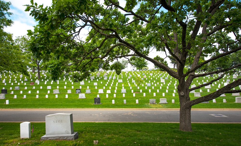 Memorial Day