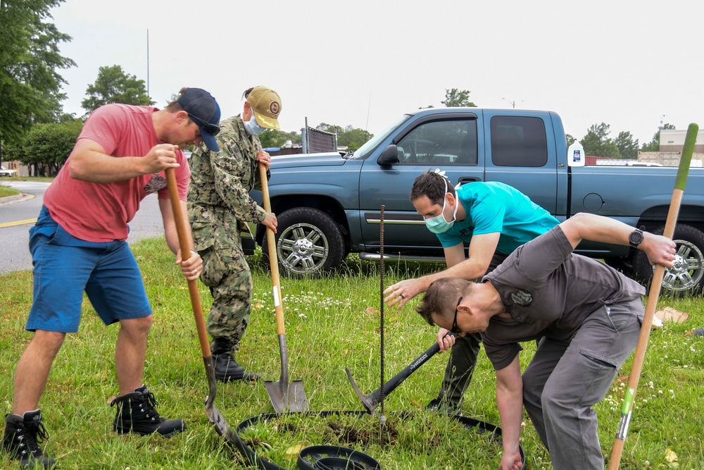 NMCP Staff Plants Tree in Memory of Coworker