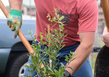 NMCP Staff Plants Tree in Memory of Coworker