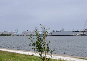 NMCP Staff Plants Tree in Memory of Coworker