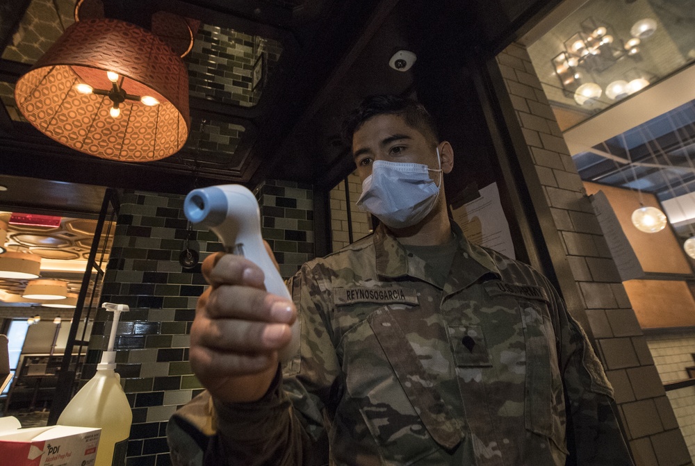 501st Medical Company Area Support checks an infrared thermometer in New York