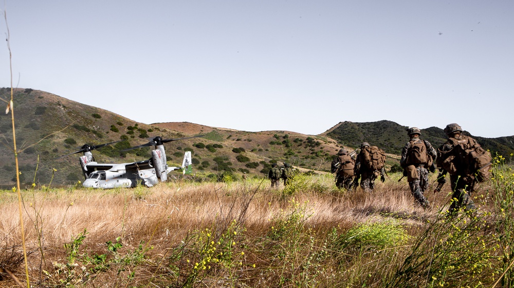 Charlie Co, BLT 1/4, hones tactics and techniques