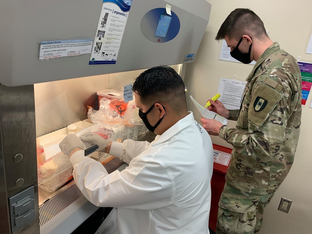 1st AML Soldiers provide COVID-19 testing in South Korea