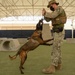 NSA Bahrain Law Enforcement Appreciation Week 2020