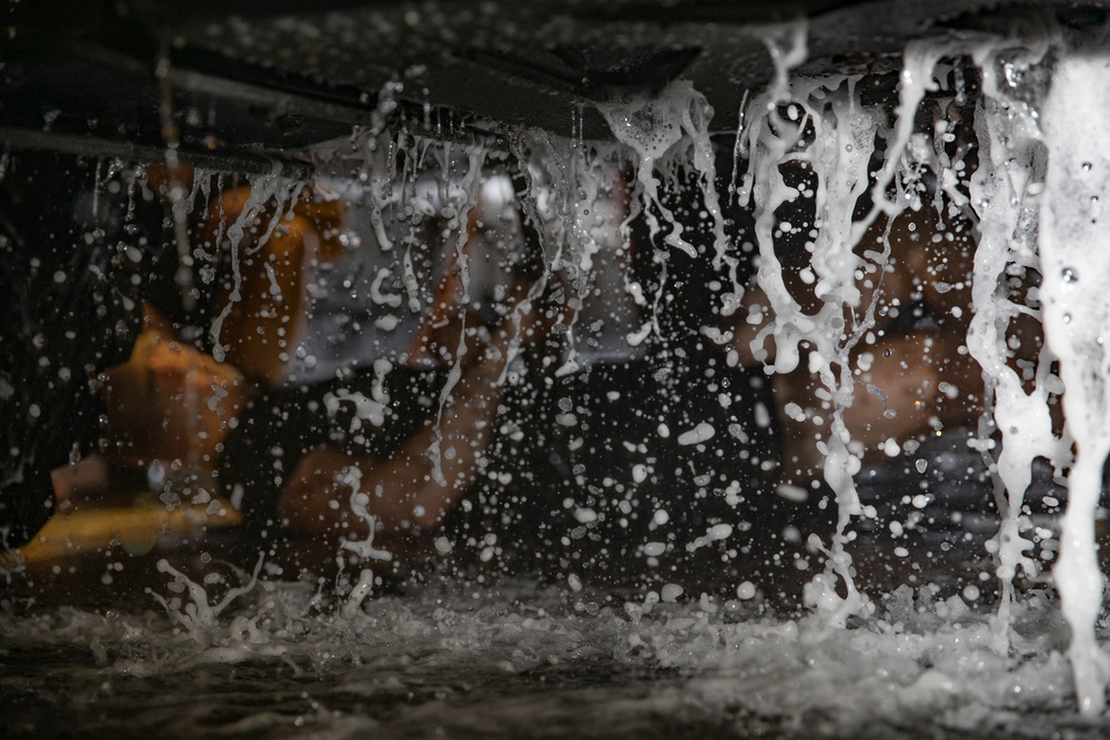 USS Bataan (LHD 5), Agricultural Washdown