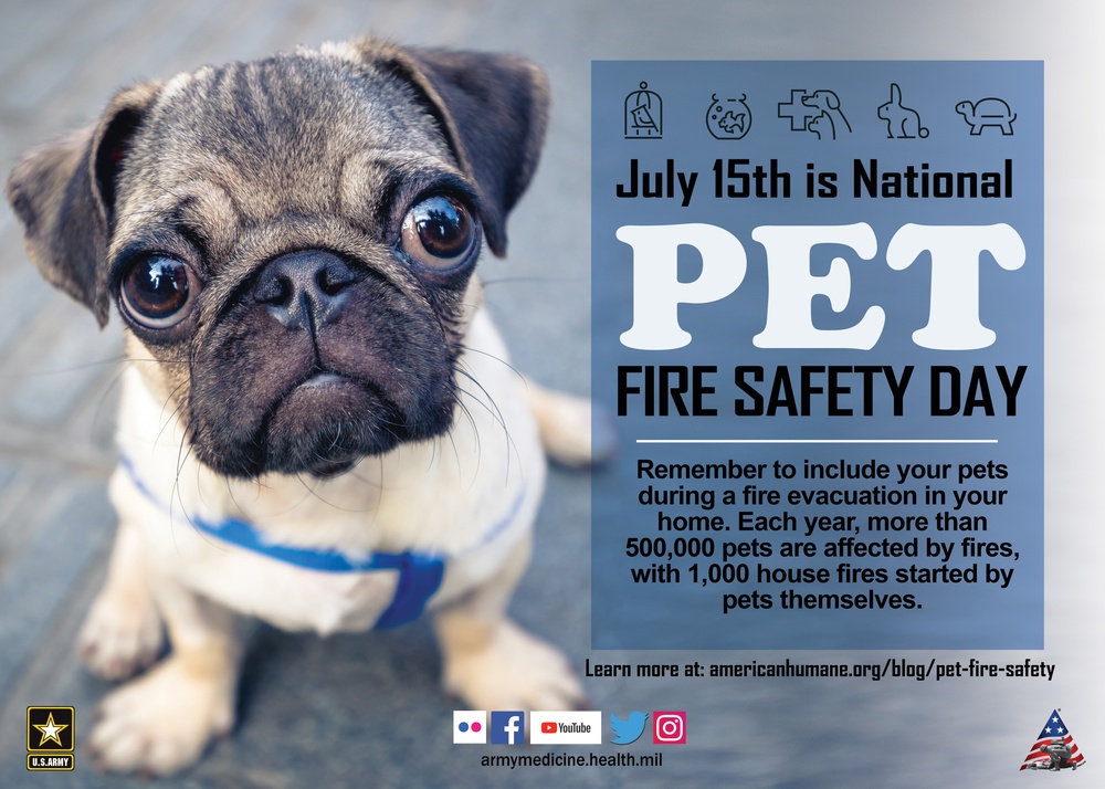 Pet Fire Safety Day