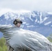 3rd Air Support Operations Squadron conducts airborne training at JBER