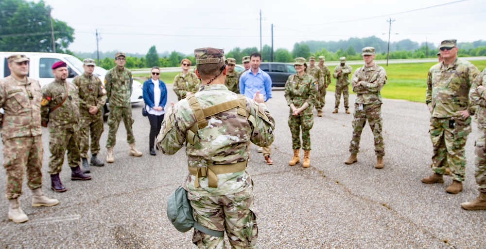 Romanian Military partners with Alabama National Guard to combat COVID-19