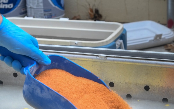 Barksdale's Cracking Crawfish Boil