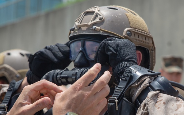 U.S. Marines conduct DPV training