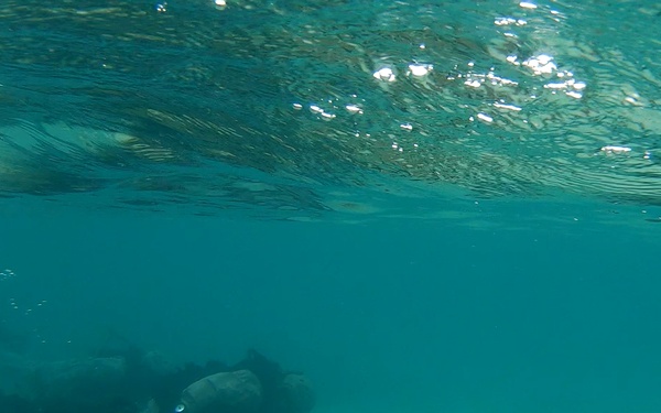 U.S. Marines conduct DPV training