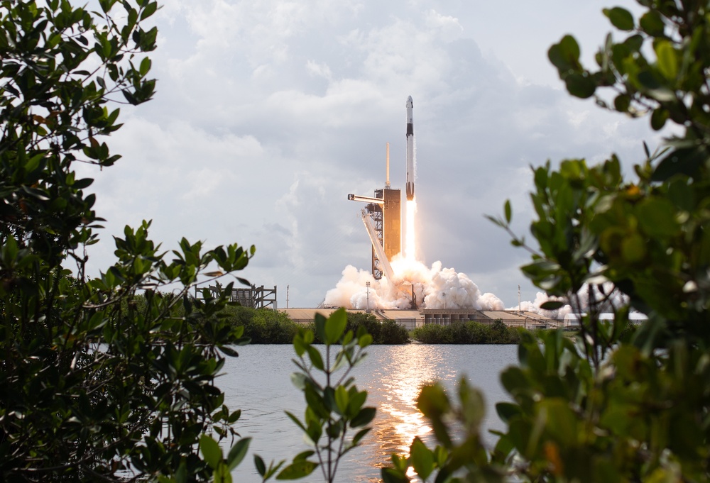 SpaceX Demo-2 Launch