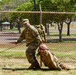 Task Force Maui conduct TC3 training during COVID-19 operations