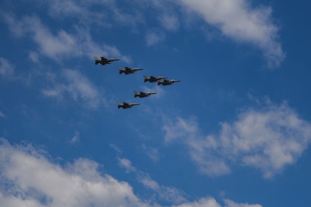 Aviano Elephant Walk
