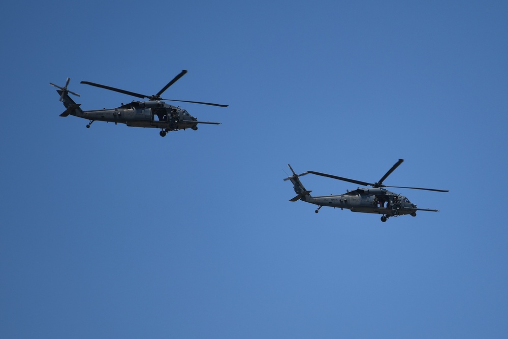 Aviano Elephant Walk