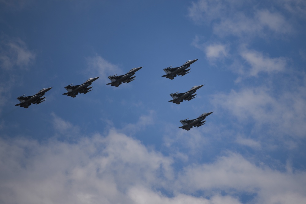 Aviano Elephant Walk