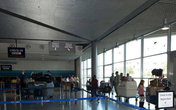 Pets on the move: PCSing pets