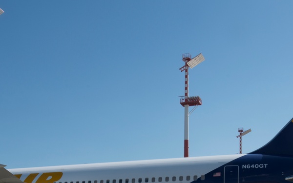 Pets on the move: PCSing pets