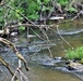 Fort McCoy trout stream