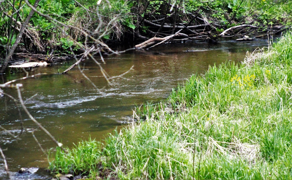 Fort McCoy trout stream