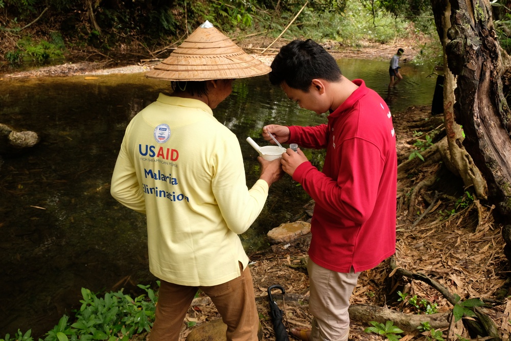 Burma larval survey