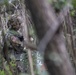 Eighth Army Best Warrior Competition