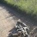 Eighth Army Best Warrior Competition